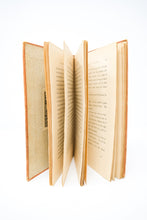 Load image into Gallery viewer, Strange Case of Dr. Jekyll and Mr. Hyde