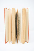 Load image into Gallery viewer, The Affluent Society