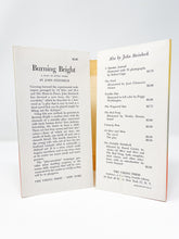 Load image into Gallery viewer, Burning Bright